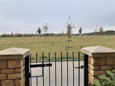 Picture 15